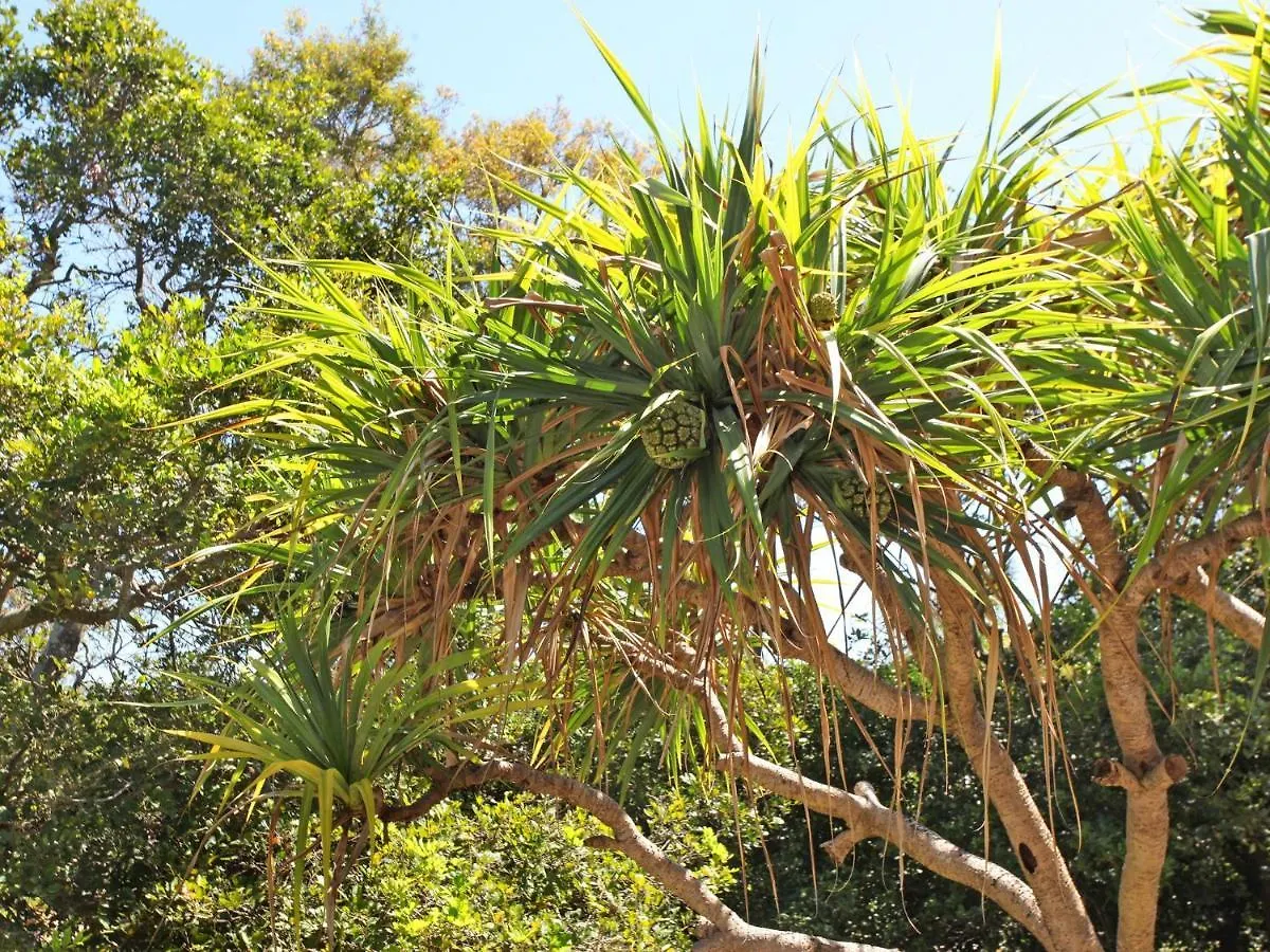 Windmill 4 Two Bedroom Beachside Apartment On Parkyn Parade Mooloolaba